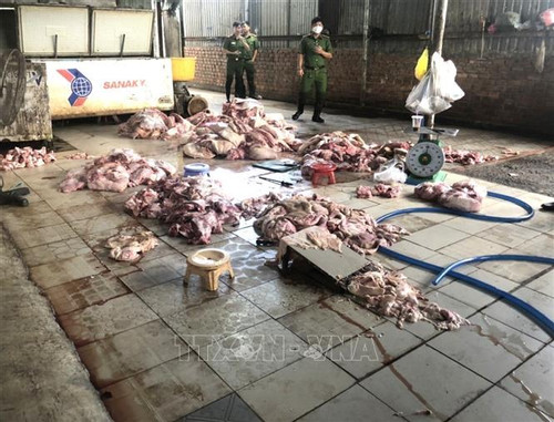 Kịp thời ngăn chặn hơn 1,2 tấn thịt lợn bẩn tuồn ra thị trường