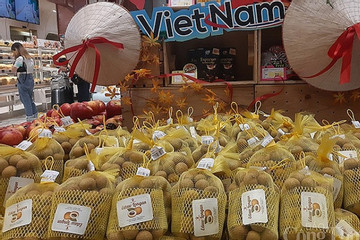 Vietnamese longans hit Thai supermarket shelves for first time