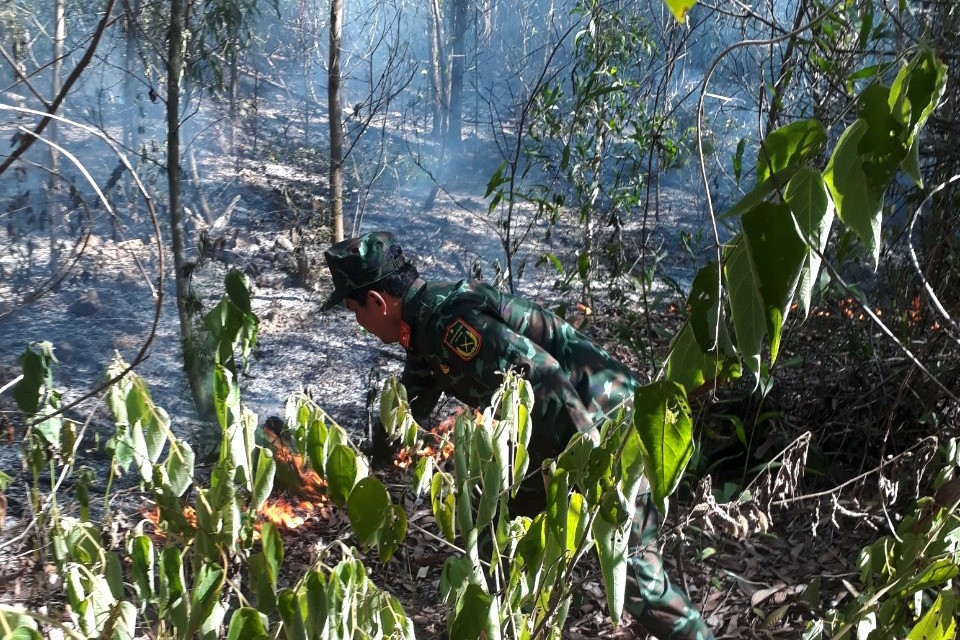 Gần 100 người tham gia dập đám cháy rừng ở Quảng Ngãi