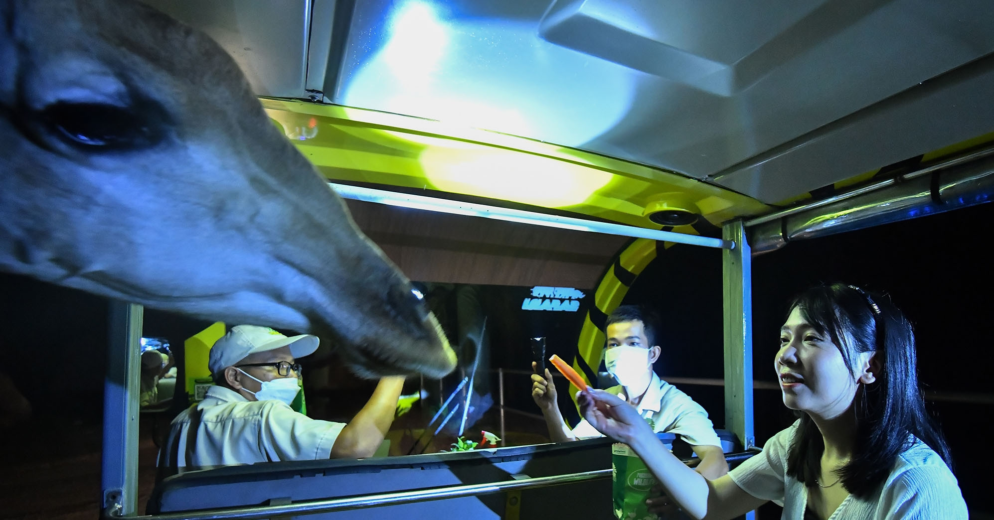 A night tour to Vietnam’s largest zoo in Phu Quoc