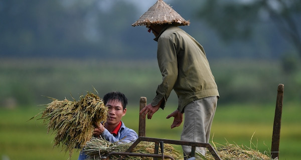 vietnamnet.vn