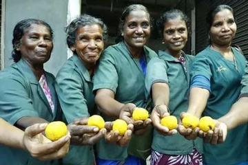 Hùn tiền mua chung xổ số, 11 nữ lao công ở Ấn Độ đổi đời
