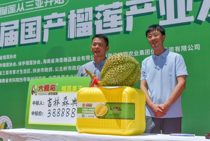 Quả sầu riêng nặng gần 7kg bất ngờ được trả giá gần 1,3 tỷ đồng