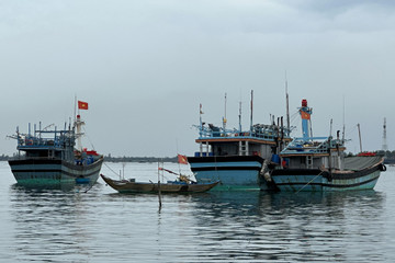 Quảng Nam hỗ trợ ngư dân vươn khơi bám biển, ổn định cuộc sống
