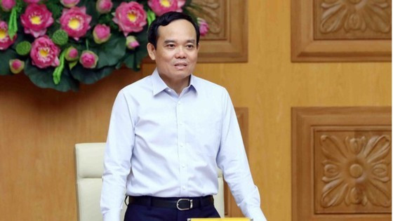 Government sets up regional coordinating councils to assist Prime Minister ảnh 1