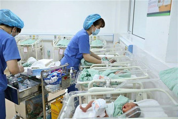 HCM City deals with low birth rates, aging population