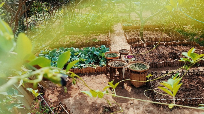 Stress đến rụng tóc, bỏ lương 2.000 USD về quê tìm cuộc sống cân bằng - Ảnh 4.