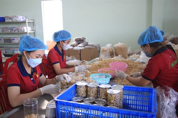 Further interest rate cut proposed to support SMEs hinh anh 1