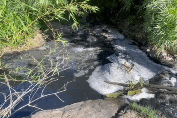 Điều tra nguyên nhân nước suối Đá Bàn ở Đắk Nông bị nhuộm màu đen kịt
