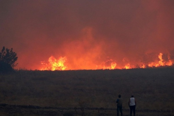 Tìm thấy 18 thi thể trong vụ cháy rừng ở Hy Lạp
