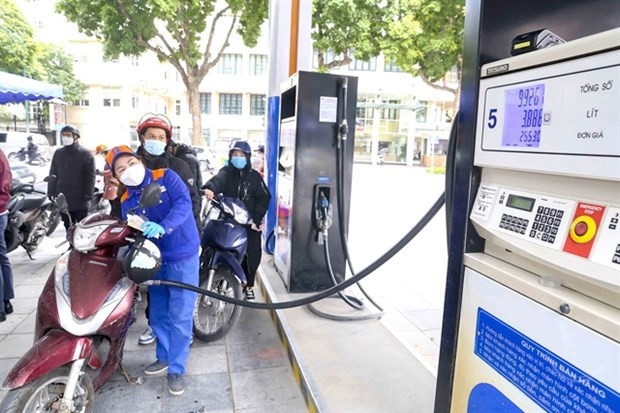 Opinions differ over fairness of domestic petroleum prices hinh anh 1