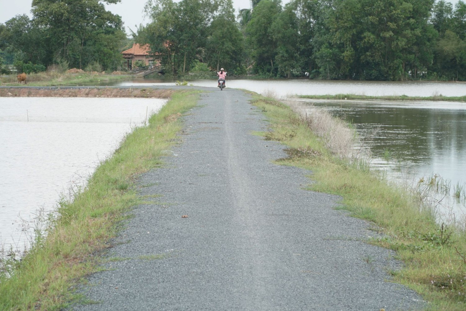 NTM Tây Ninh: Tư duy của người dân về sản xuất hàng hoá, phát triển kinh tế được nâng lên