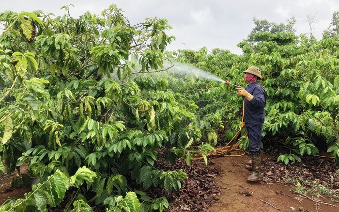 Công tác nhân quyền đã chuyển động mạnh mẽ với những chuyển biến tích cực
