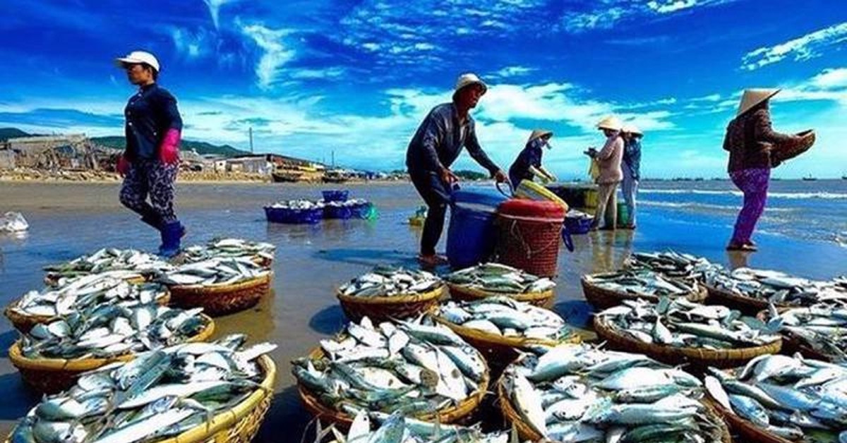 日本が数百万トンの放射性下水を排出、ベトナムの水産物在庫が急増