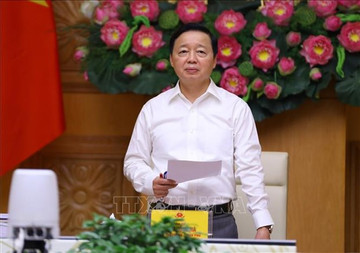 Procedures to be streamlined to grant work permits to foreigners in Vietnam