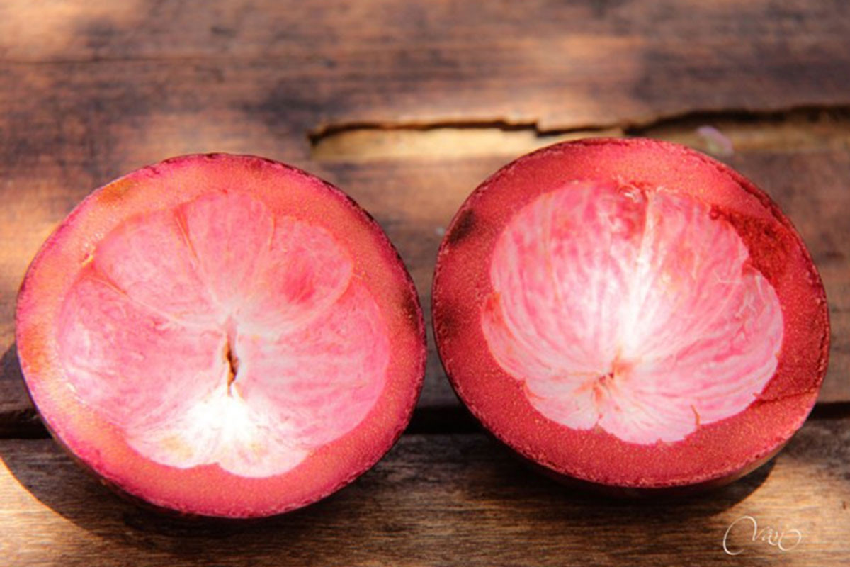 Discarded fruit peels sold as valuable goods