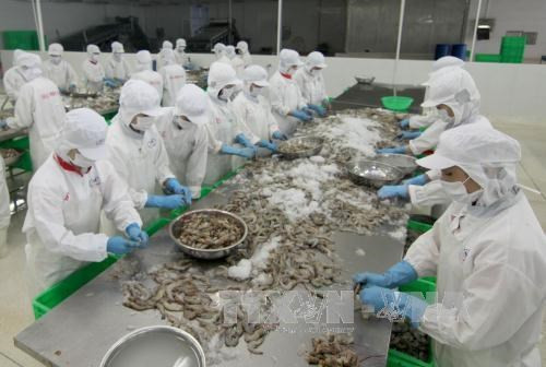 Plunge in Vietnam’s exports has bottomed out: VinaCapital hinh anh 1