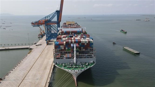 Ports log nearly 60,000 vessel throughput in 7 months hinh anh 1