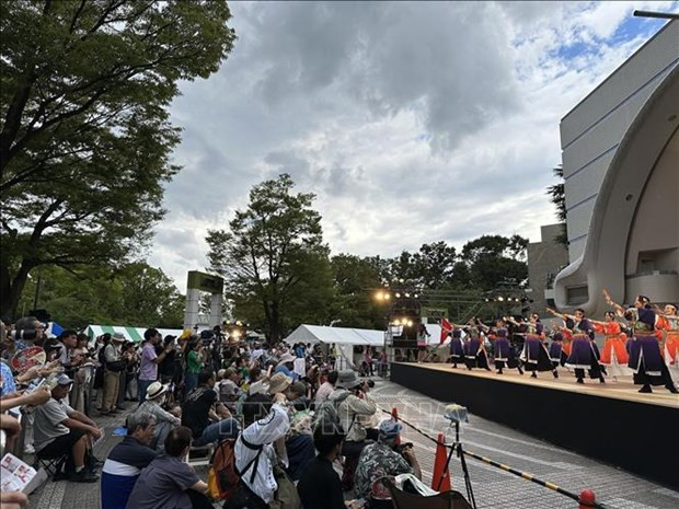 Vietnamese dance group performs at Japanese festival hinh anh 2