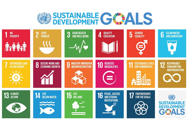 Vietnam’s report on SDG implementation announced hinh anh 1