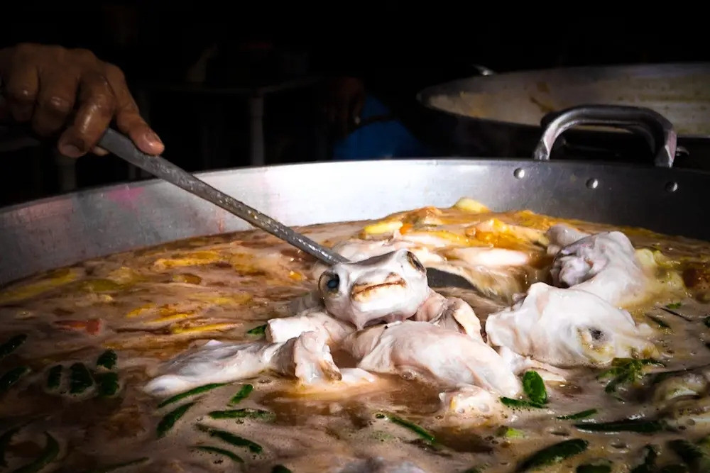 Loại cá độc chết người trở thành đặc sản của Philippines như thế nào?