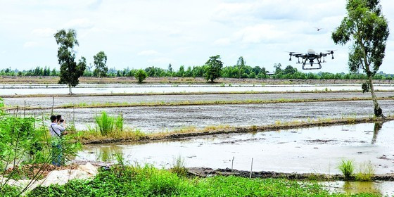 Mekong Delta creating favorable conditions to attract investment  ảnh 2