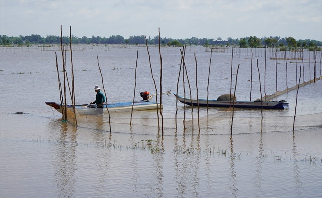 Mekong Delta farmers rejoice as annual flooding brings aquatic species