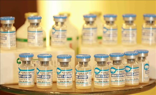 Made-in-Vietnam African swine fever vaccines to be exported to Philippines, Indonesia hinh anh 1
