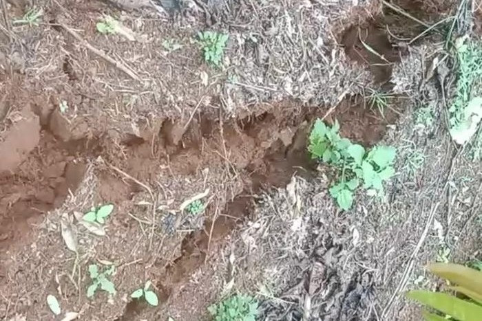 Nhiều địa phương ở Đắk Nông xuất hiện vết nứt đất lớn