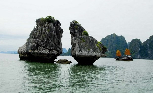 Conservation of Ha Long Bay iconic rocks to comply with world convention: Authority hinh anh 1