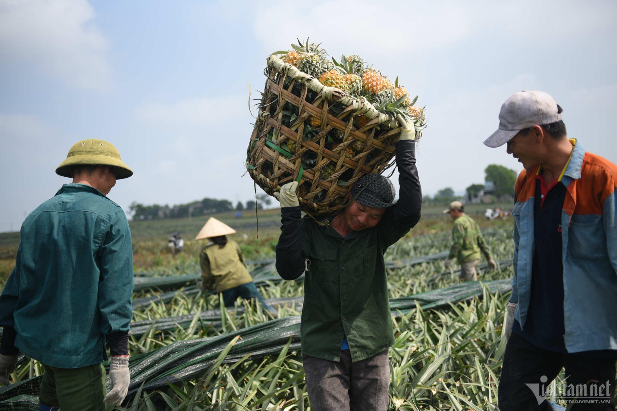 Farm exports soar, Ministry requests stricter supervision over produce quality