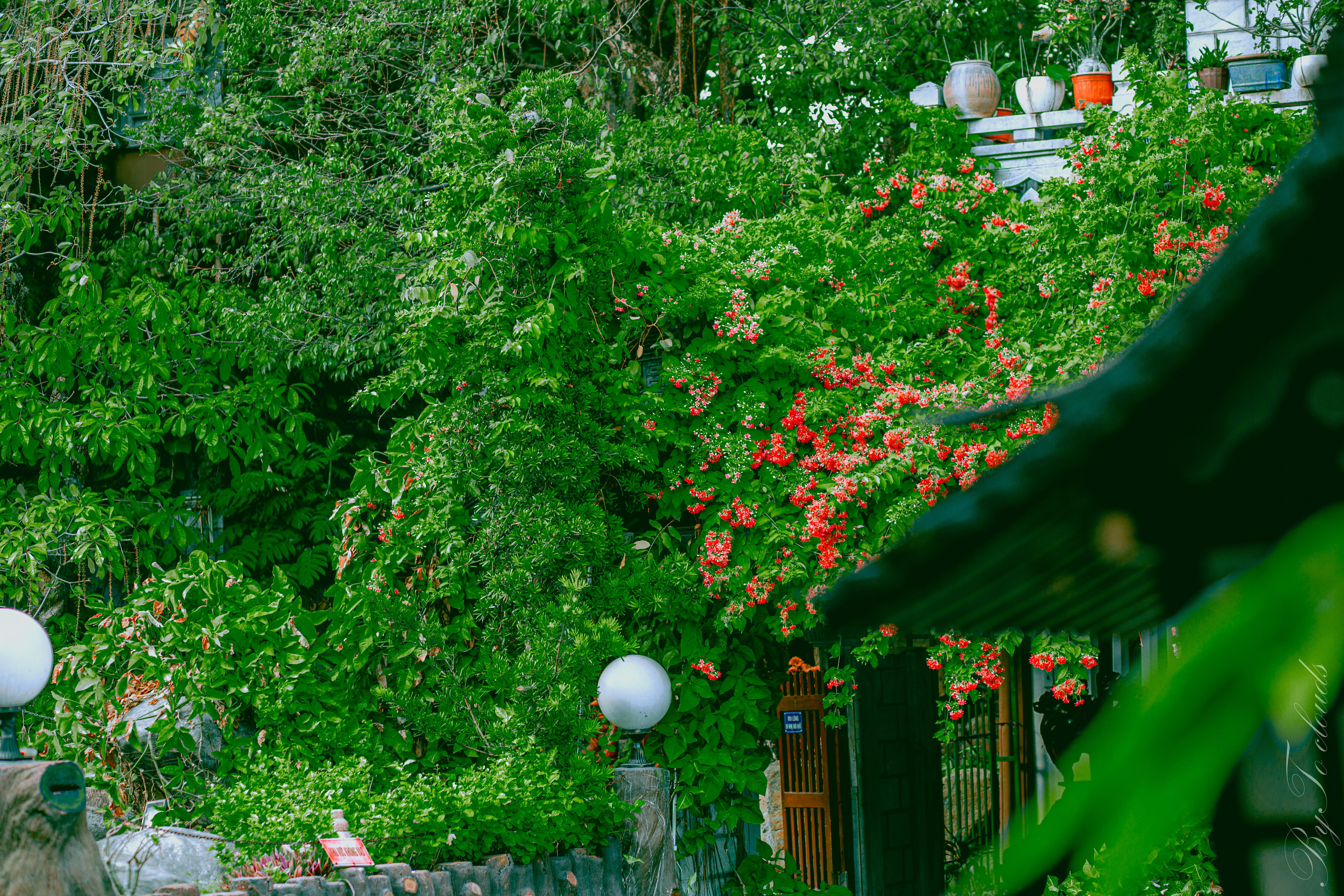 Tu viện 118 năm tuổi xanh mướt cỏ cây, được ví như 'góc Nhật Bản giữa TP.HCM'