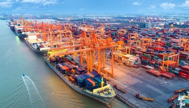 Southern seaport industry attractive to foreign investors hinh anh 1