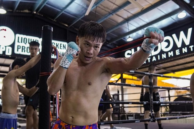 Boxers fight for international titles in HCM City hinh anh 1