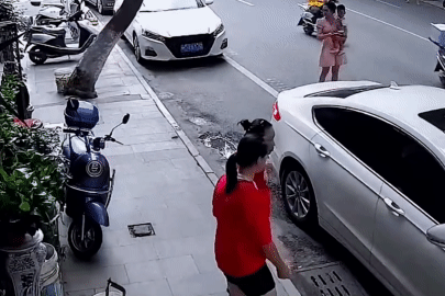 Cây xanh đổ xuống đường quật ngã người đi xe máy, 2 mẹ con may mắn thoát nạn