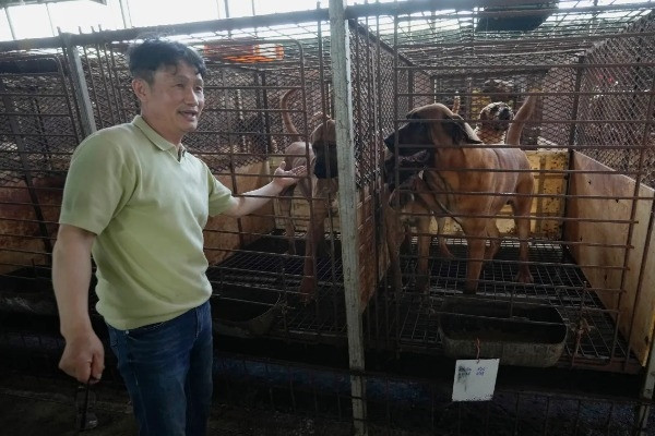 Es gibt eine hitzige Debatte über das Verbot des Verzehrs von Hundefleisch in Korea