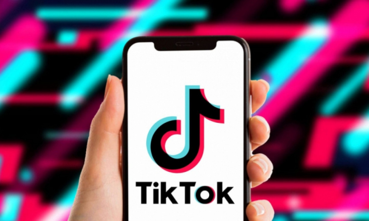 tiktok yet to fully clarify its violations in vietnam picture 1