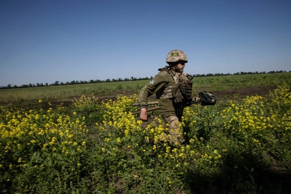 Tình báo Anh nói lùm cây và cỏ dại làm chậm đà phản công của Ukraine