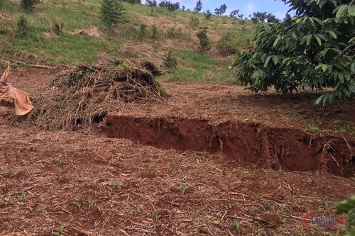 Bản tin trưa 6/8: Phát hiện thêm 2 vụ nứt đất, sụt lún nghiêm trọng ở Đắk Nông