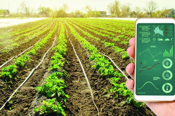 Ứng dụng công nghệ phát triển nông nghiệp sinh thái ở Khánh Hòa