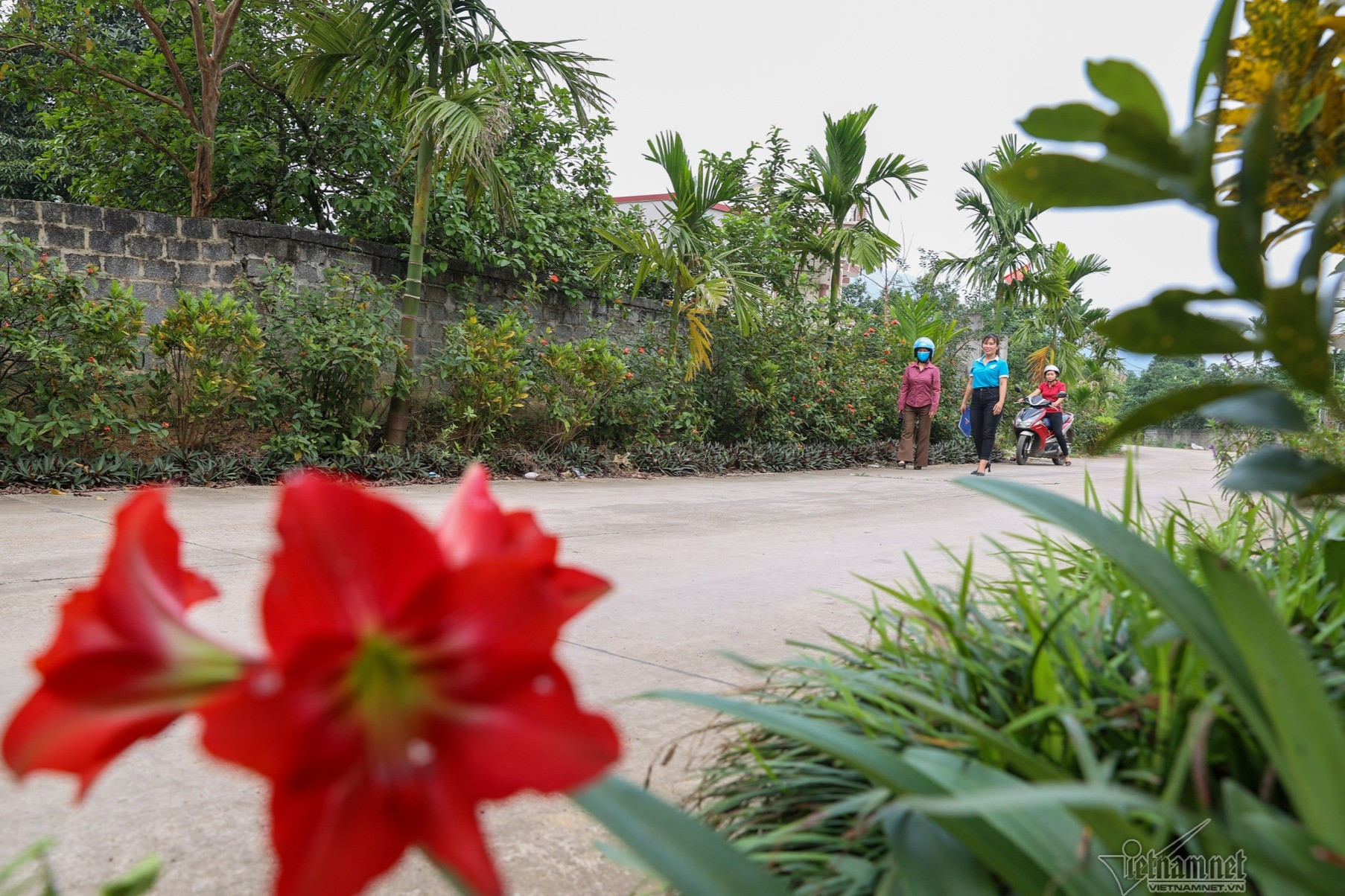 Cà Mau: Tháo gỡ khó khăn trong xây dựng nông thôn mới