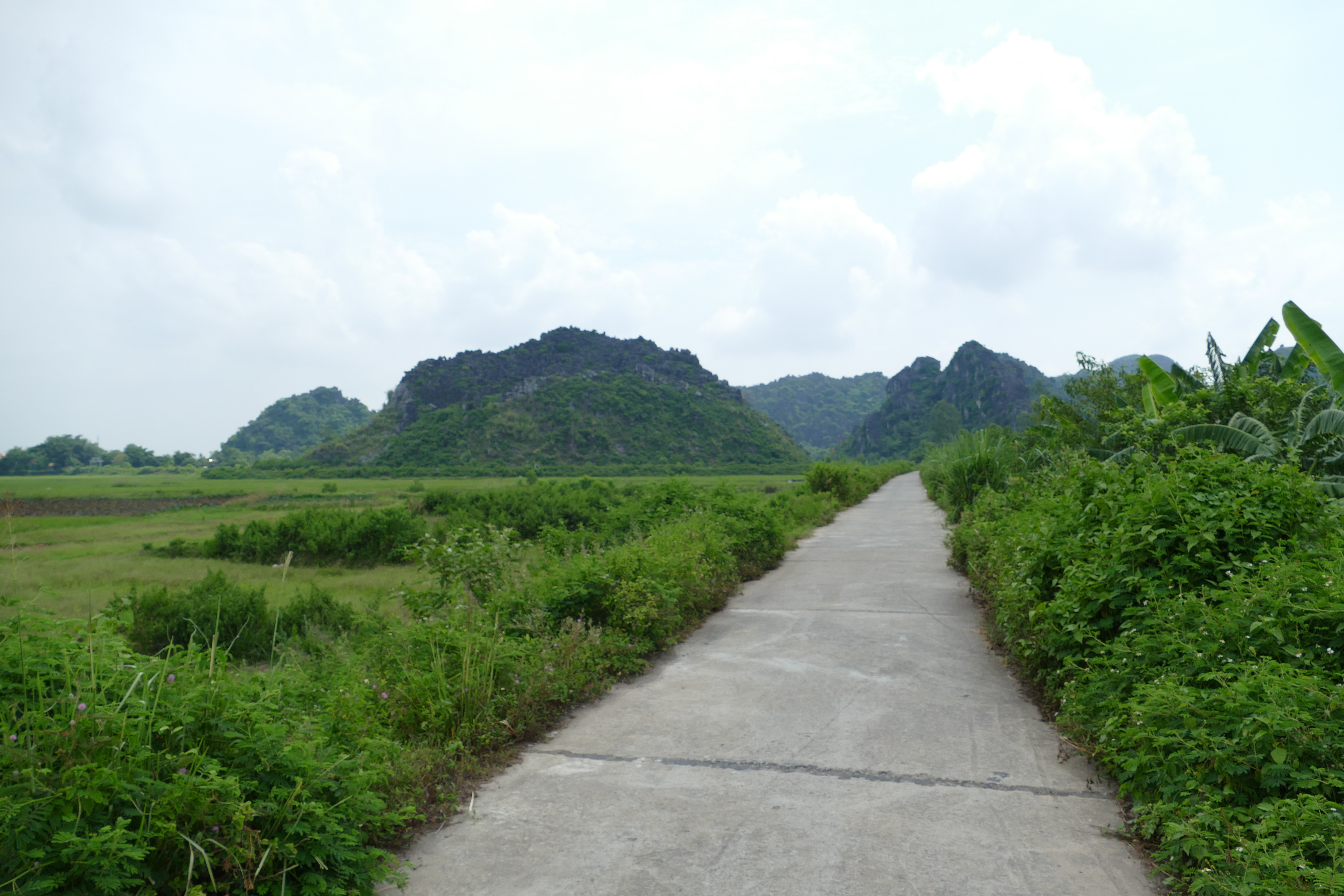 Cà Mau xây dựng nông thôn mới đi vào chiều sâu, thực chất