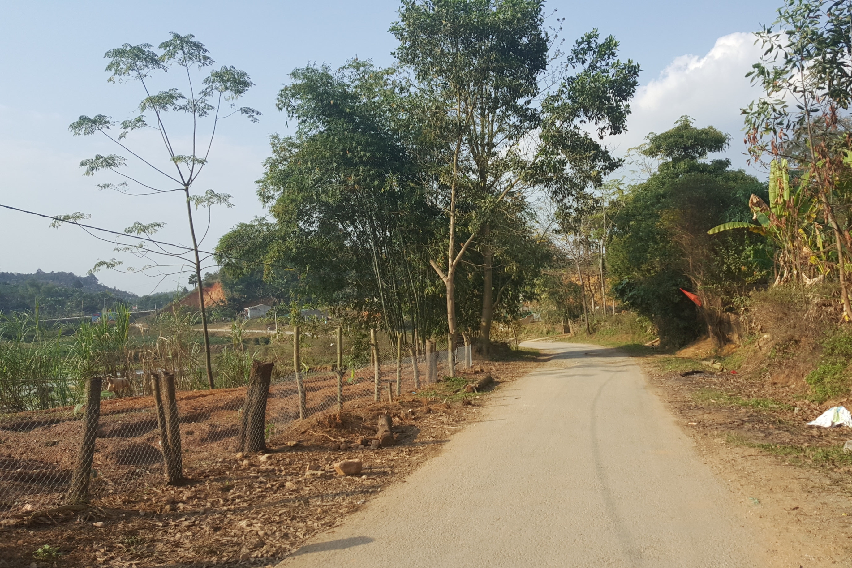 Quảng Ninh: Tăng cường công tác phối hợp trong phòng, chống mua bán người