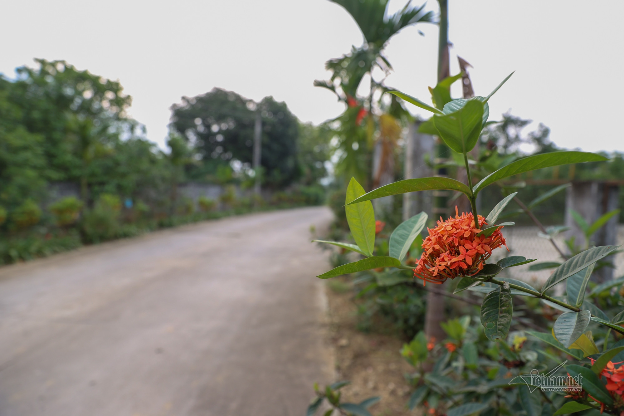 Toàn dân đoàn kết xây dựng nông thôn mới ở An Thạnh Đông