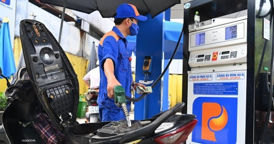 Ministry establishes team to inspect four fuel wholesalers  ảnh 1
