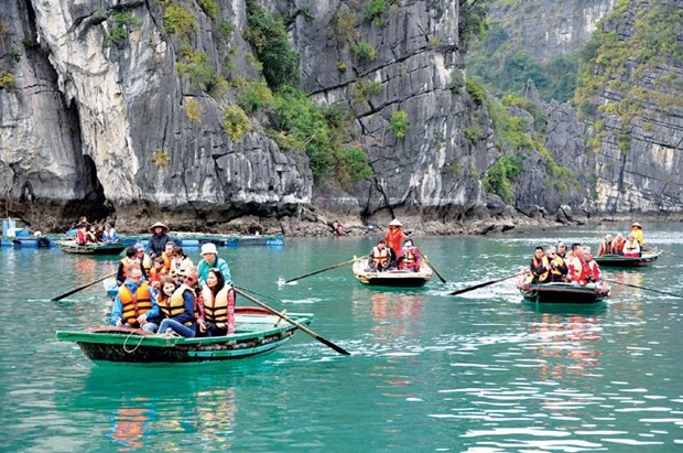 VN tourism companies expect busy months to come with foreign visitors