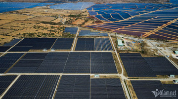 14 dự án điện mặt trời hưởng giá sai: Bộ Công Thương yêu cầu EVN có giải pháp