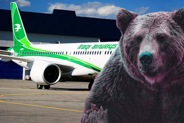Gấu đi lại tung tăng trong khoang hàng máy bay, tiếp viên trấn an hành khách
