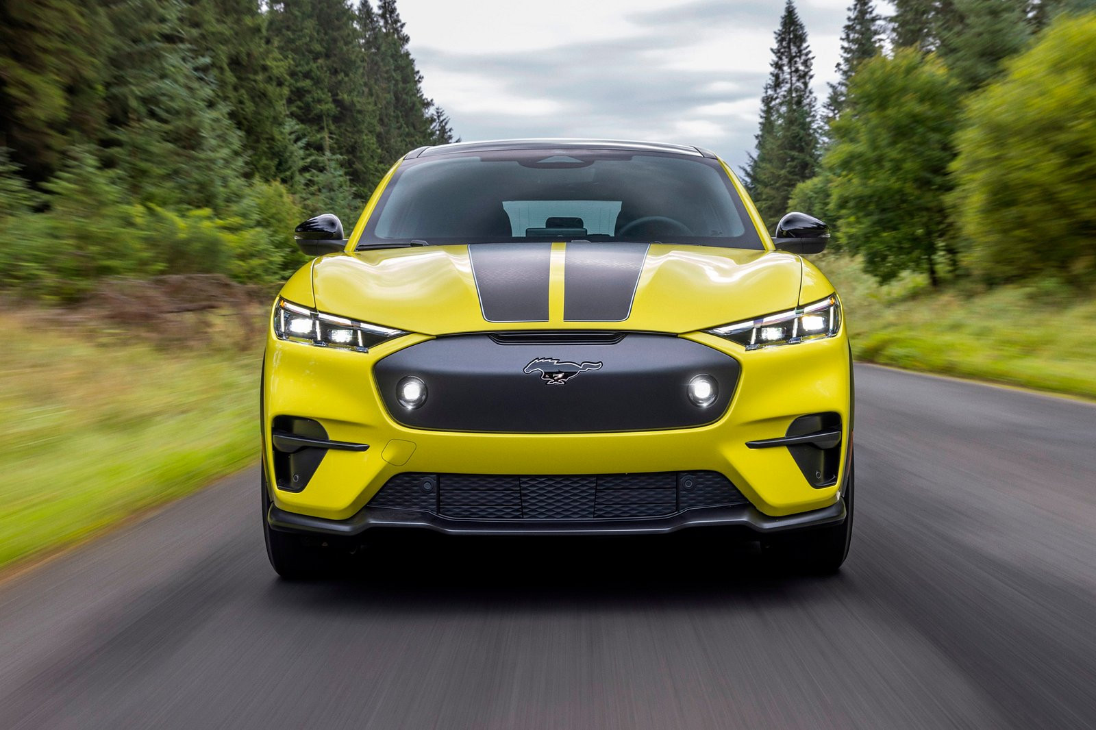 Xe điện Ford Mustang Mach-E có thêm phiên bản địa hình