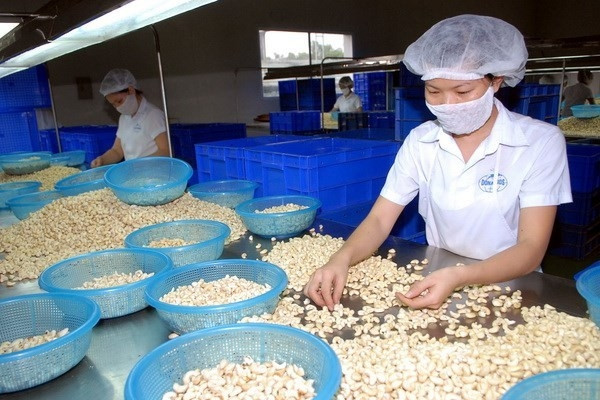 Vietnam-China trade turnover exceeds US$100 billion over eight-month period